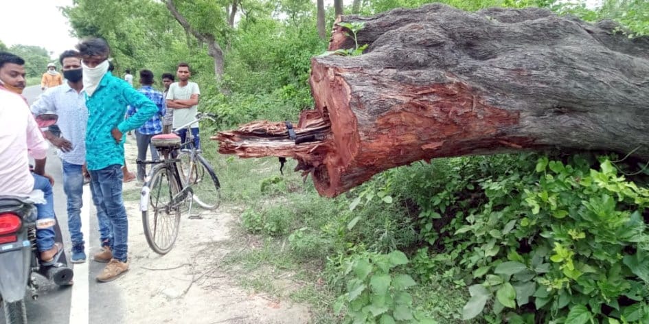 Two people dead in a road accident