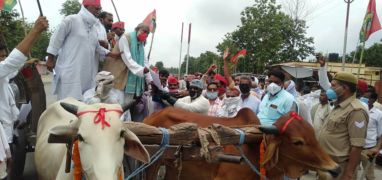 sp workers came in tahsil by bullock cart, opposes price rise
