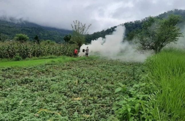 locust attack in nepal