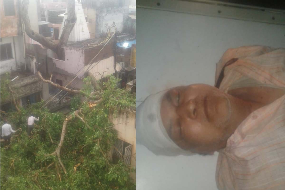 storm in western UP: broken trees and poles, many people injured due to the grip of trees