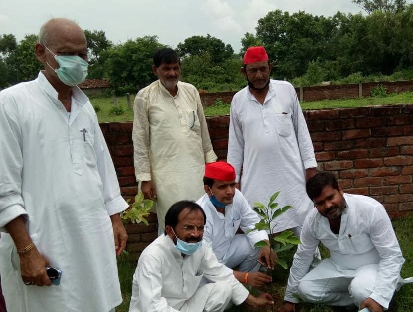 plantation programme at akhilesh yadav birthday
