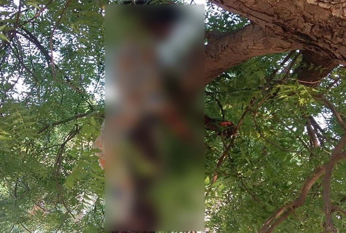 prayagraj news: dead body found hanging from married tree