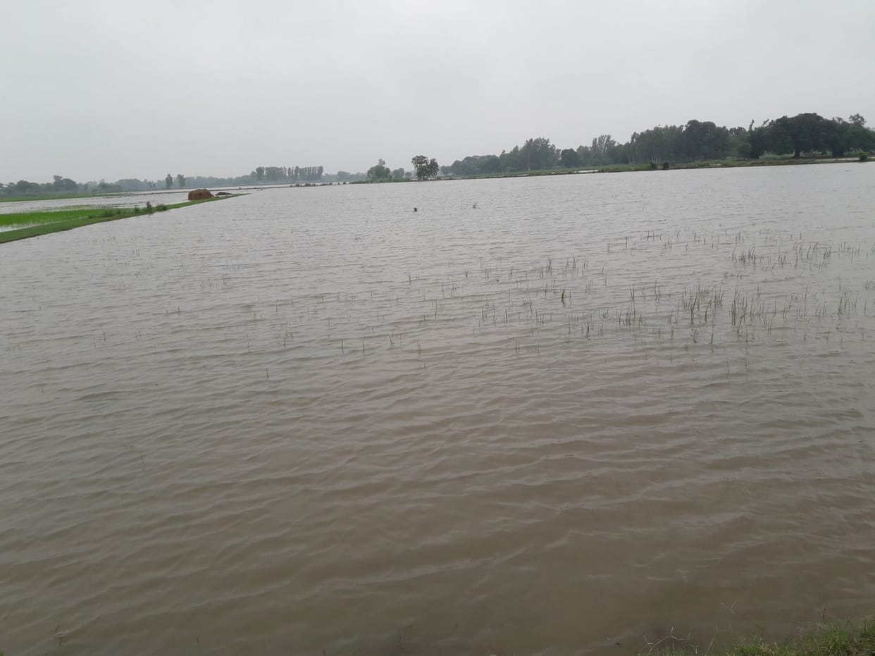 river overflow