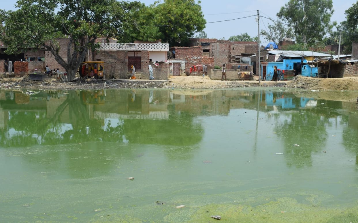 dengue