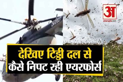 Indian Air Force designed an Airborne Locust Control System on Mi-17 helicopters for tackling the locusts attack