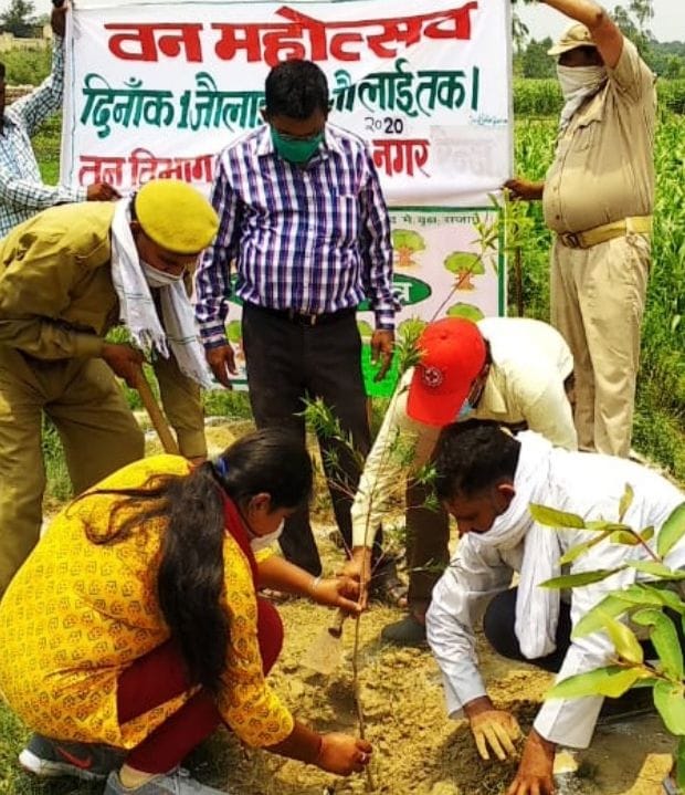 Plants planted on the banks of Hindon River