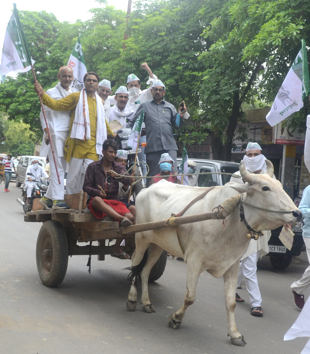 Rallod demonstrated by keeping bike on bull-buggy