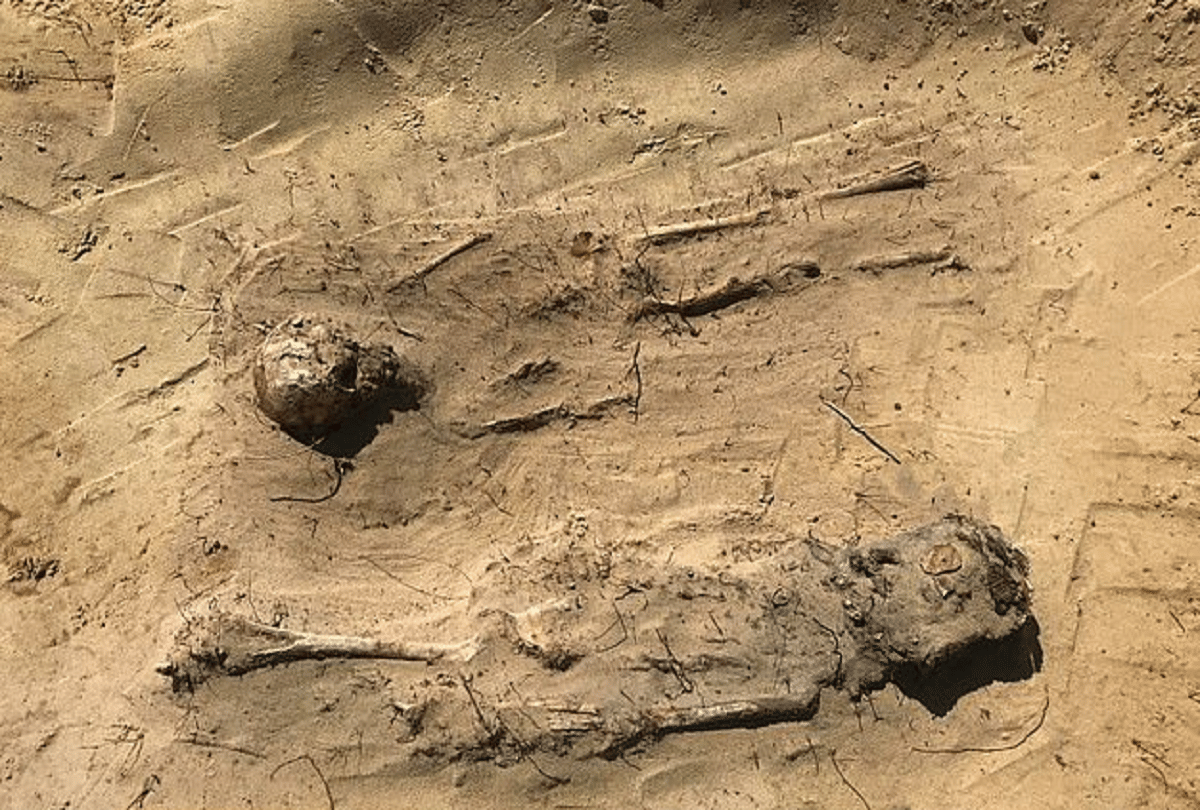 weird news over 100 children buried coins mouths in poland during road construction