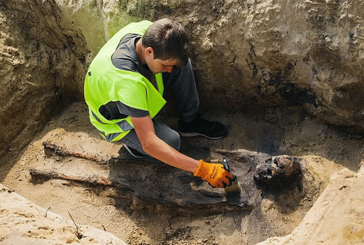 weird news over 100 children buried coins mouths in poland during road construction