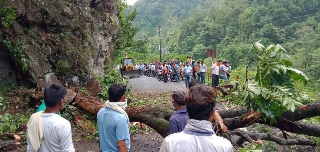 NH was interrupted for an hour due to felling of trees