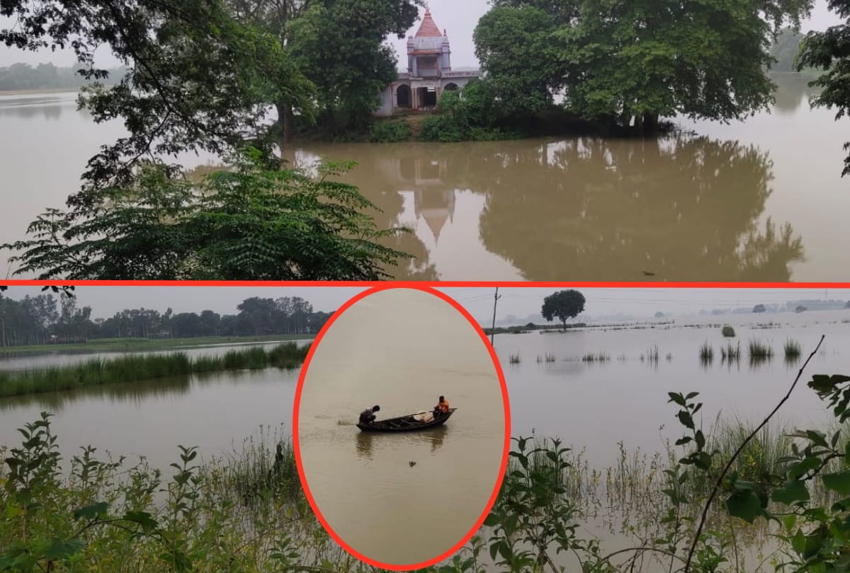 Monsoon: Crop loss after increase in water level of river Ami due to heavy rain