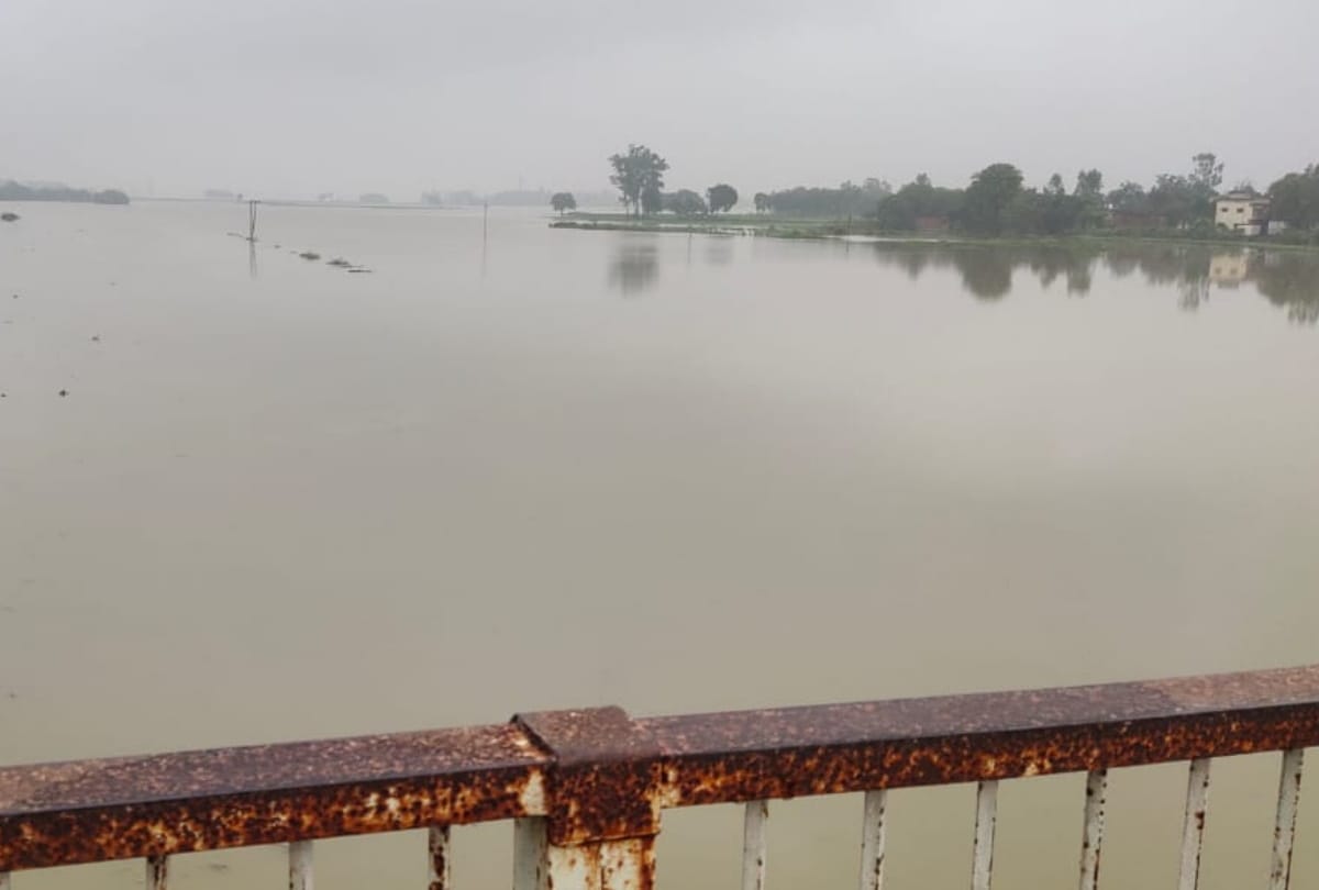 Monsoon: Crop loss after increase in water level of river Ami due to heavy rain