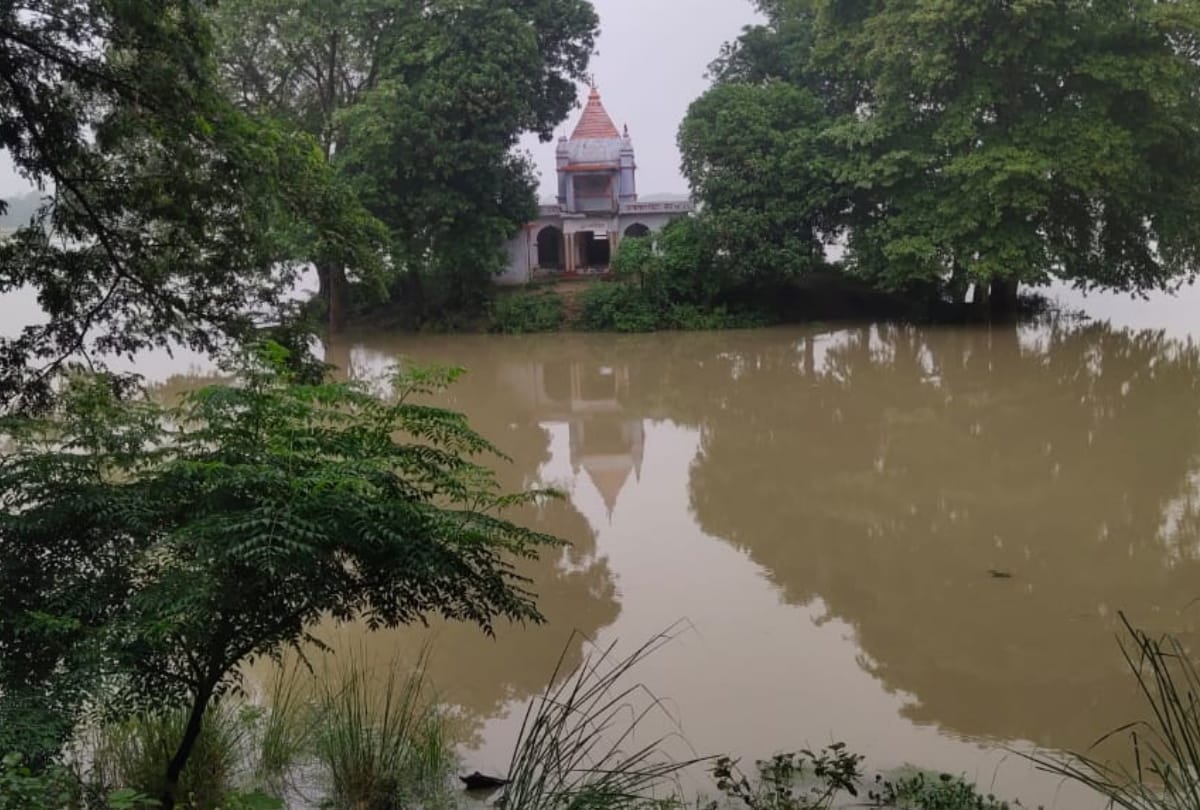 Monsoon: Crop loss after increase in water level of river Ami due to heavy rain