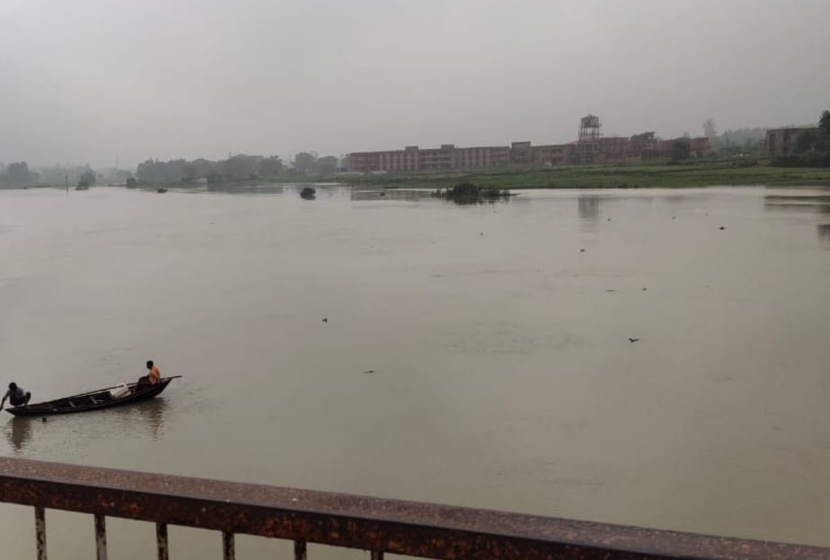 Monsoon: Crop loss after increase in water level of river Ami due to heavy rain
