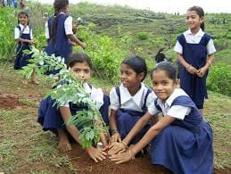Health Department in preparation for planting saplings on paper