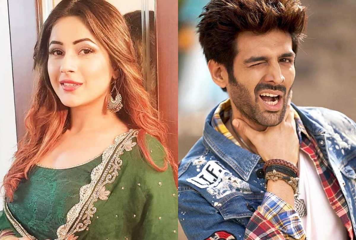 bigg boss 13 contestant shehnaz gill and kartik aaryan comment viral