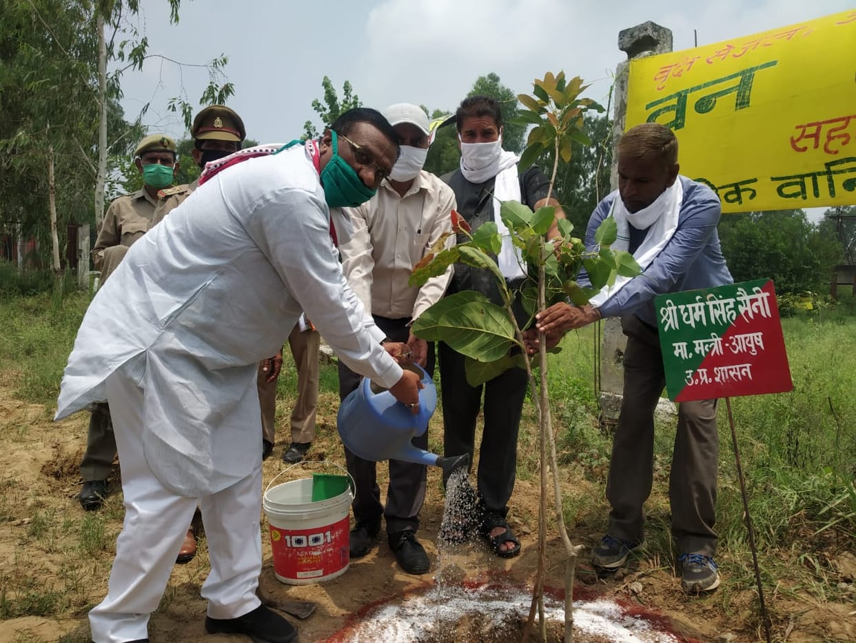 Minister inaugurates forest festival by planting Harishankari plant