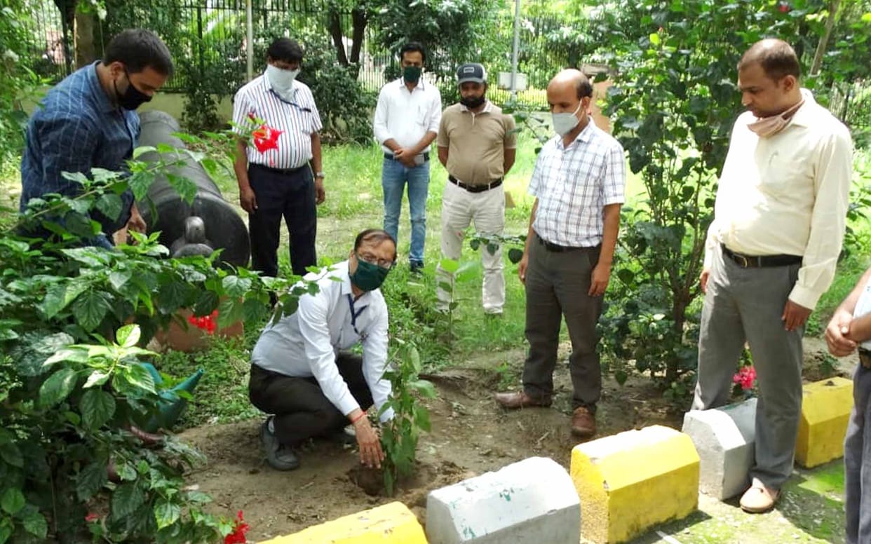 Sankalp festival begins by planting vine plant in museum premises