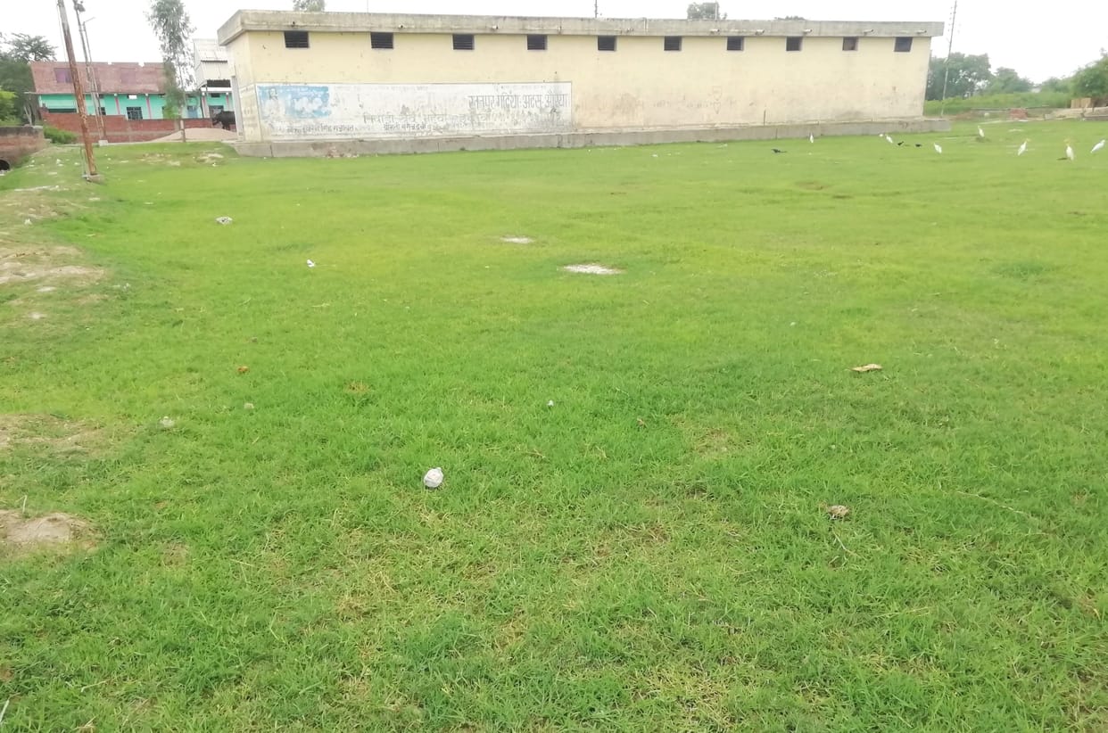 Plants could not grow trees due to lack of care, millions of rupees wasted