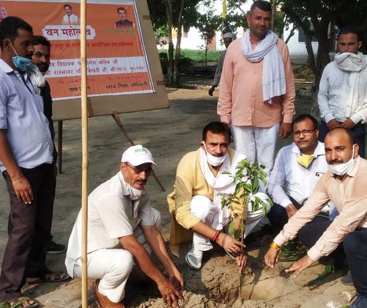 Planting in school