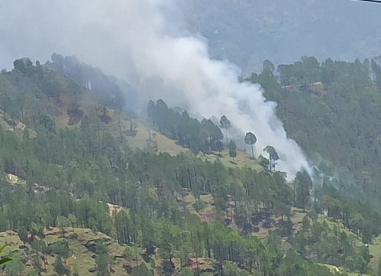 The forests are still burning