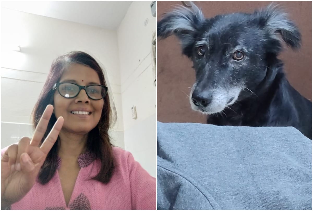 Kanpur fmale dog jumps to death after seeing deadbody of her owner