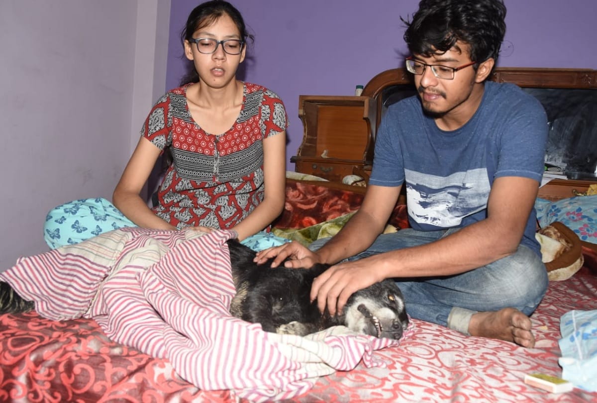 Kanpur fmale dog jumps to death after seeing deadbody of her owner