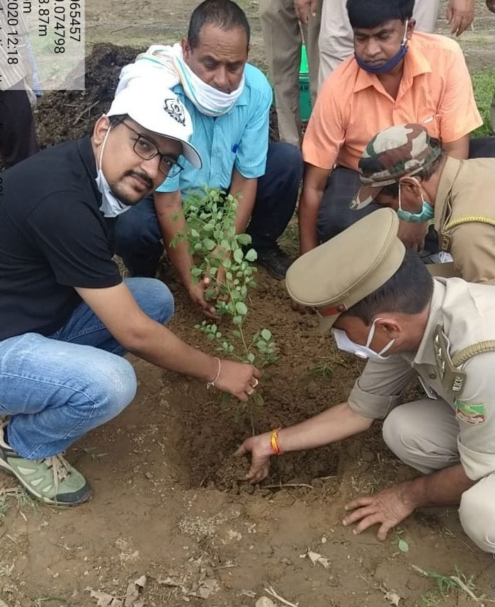 Forest Department will plant 88 thousand trees on the empty land of Sharda Range