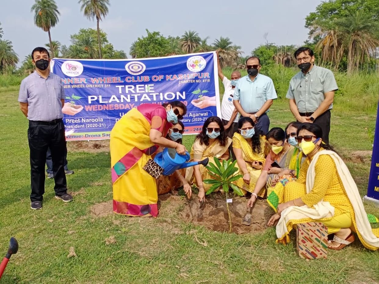 Innerwheel Club PLANTS sAPLINGS