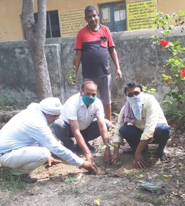 plantation
