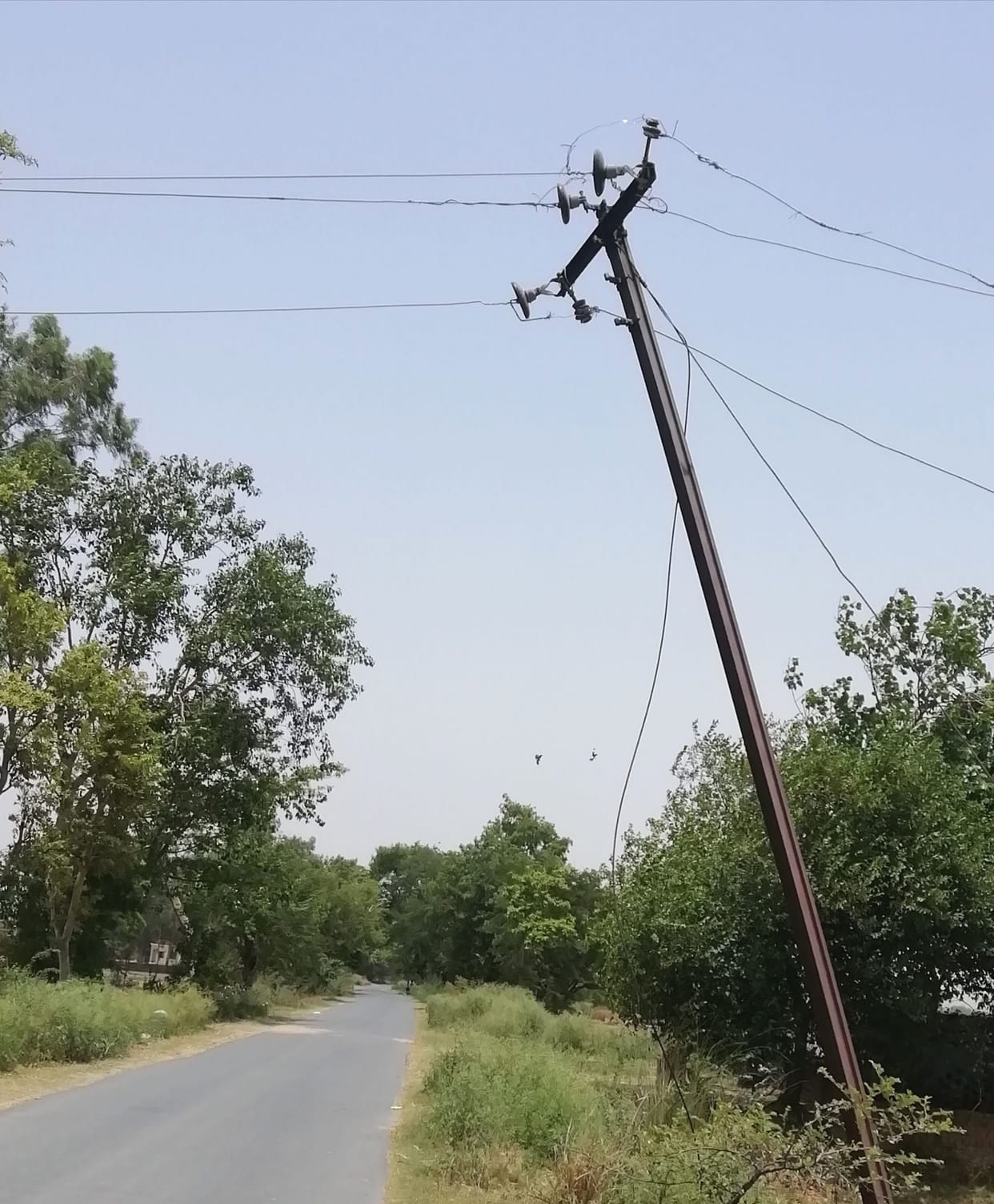 Bowing pole, swinging wires, feasting on accidents