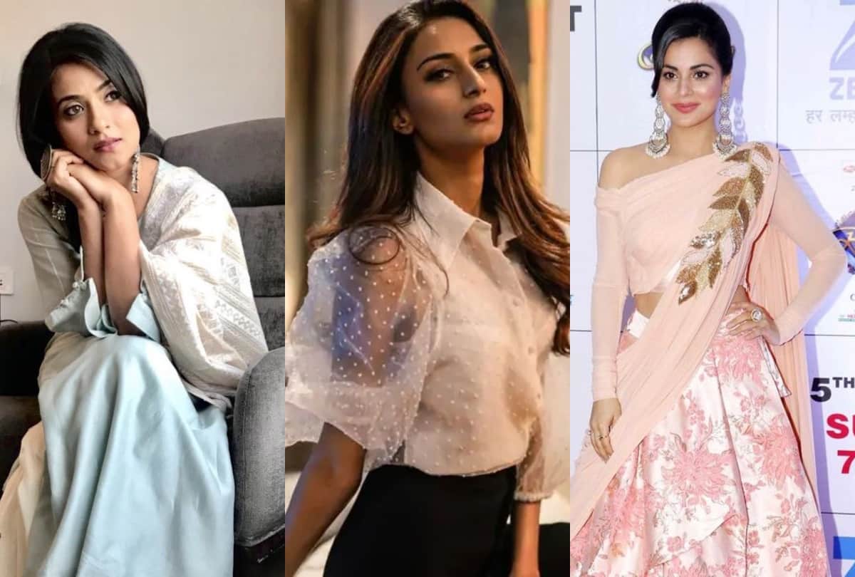 Aditi Sharma Anita Hassanandani Erica Fernandes Hansika Motwani and Shraddha Arya these tv actress are famous in south cinema