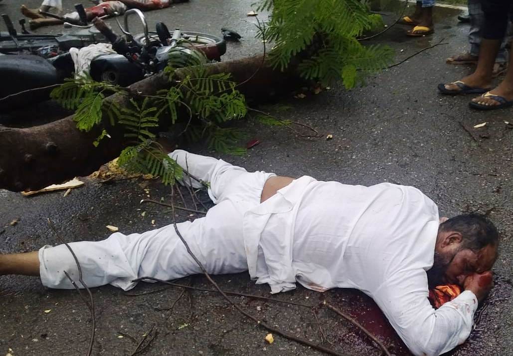 Trees fell on a moving bike, two bike riders injured