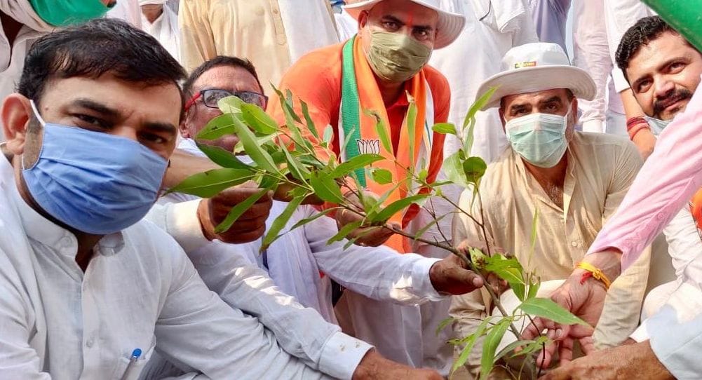 Plantation started on Muzaffarnagar-Baraut road