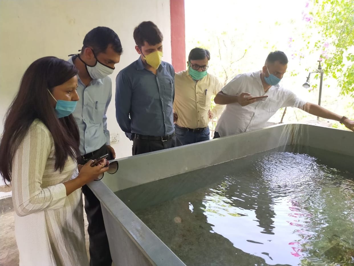 Produce Mahaseer fishes in fishery hatchery: DM