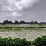 देशभर में बारिश