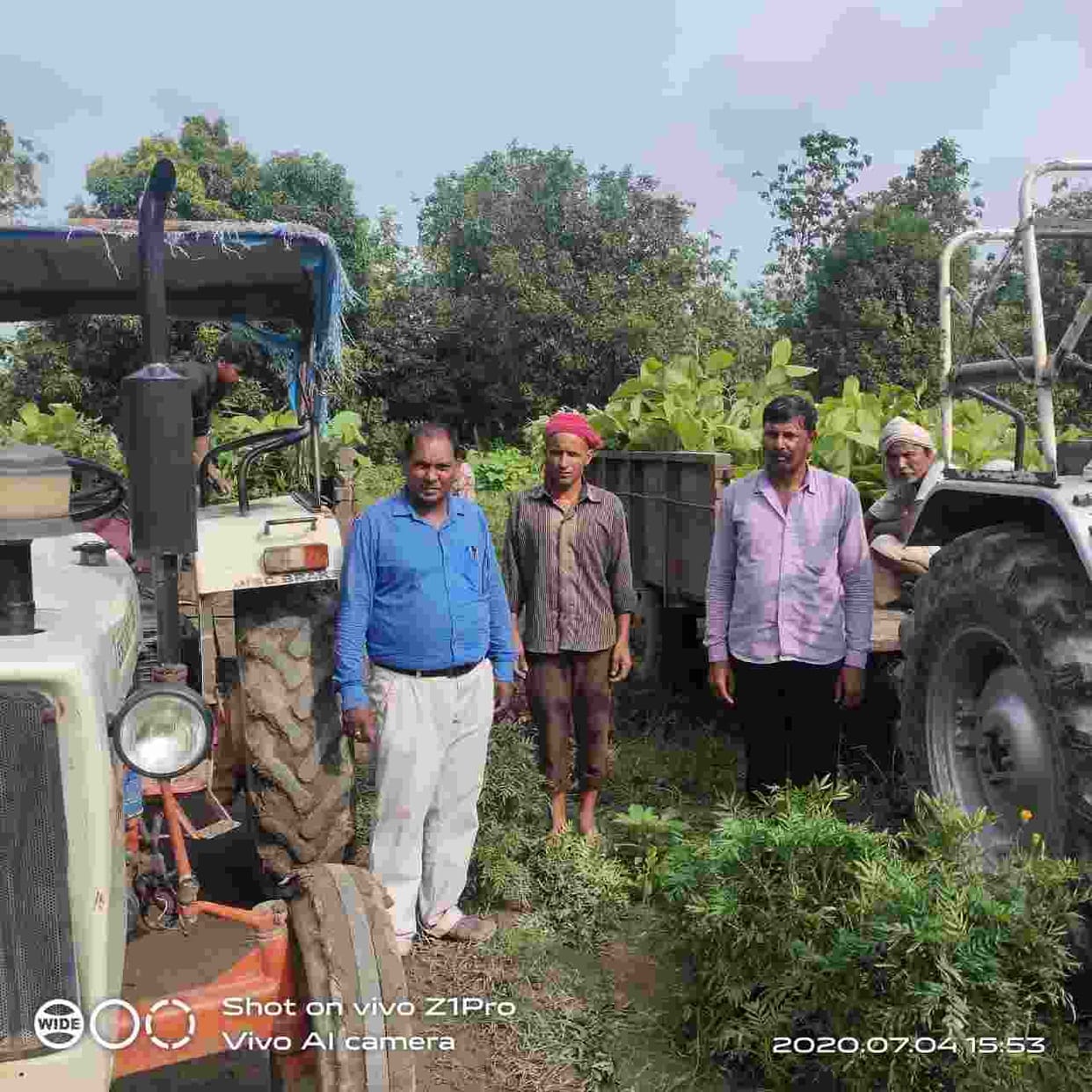 kushinagar will be second top in region in plantation
