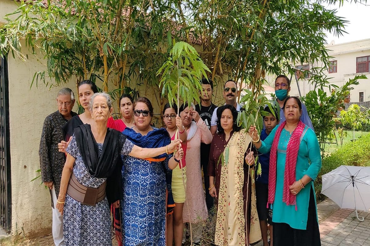 On the birthday of Colonel Ashutosh, who was martyred in the Handwara encounter, the family members Tree plantation
