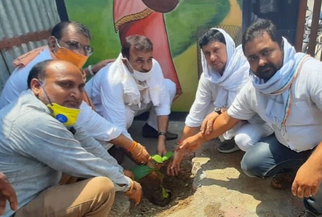 MLA planted sapling in Nagar Panchayat office