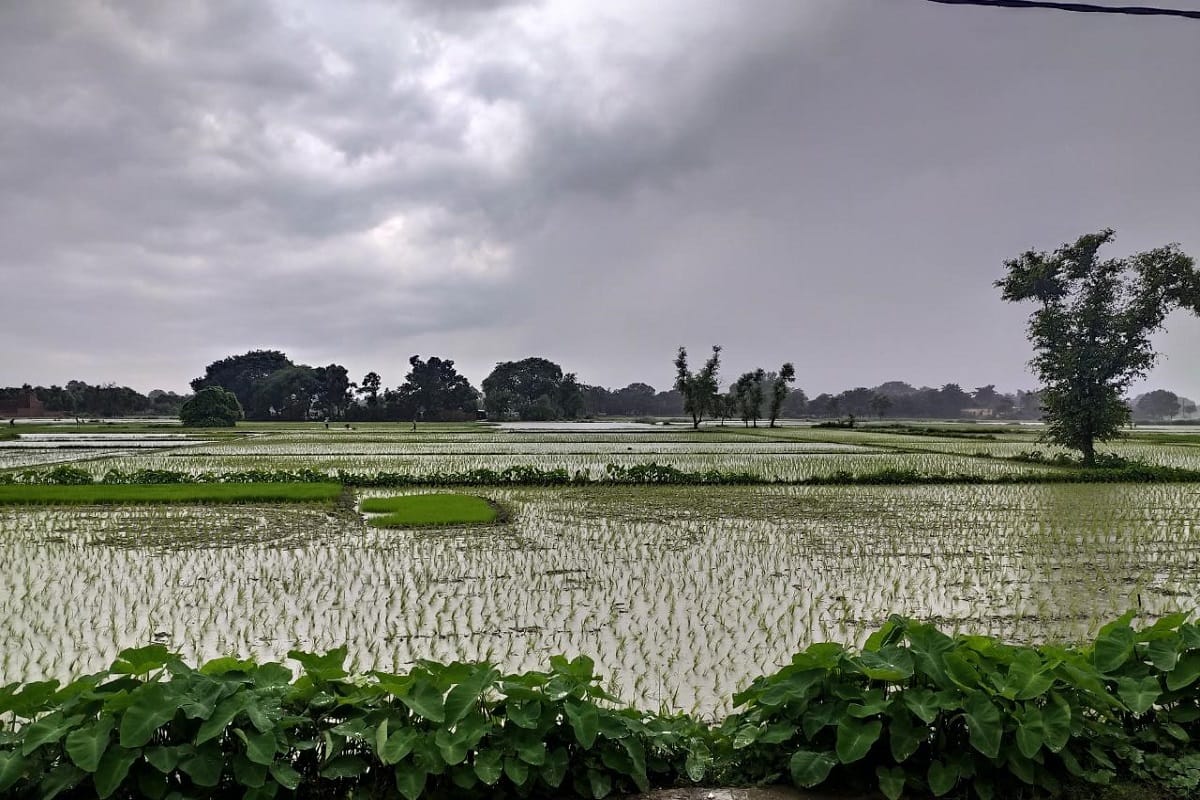 Weather Update Today: heavy rain in jharkhand, Hightide in Mumbai, rain in Bihar cities including Patna darkness in the daytime