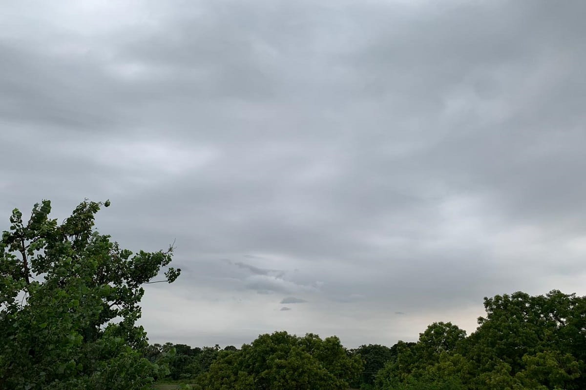 Haryana weather update: 11 districts of Haryana received less and 10 received more rainfall