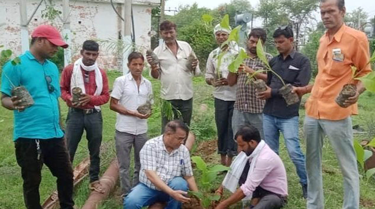 27 departments planted 36.71 lakh plants in one day