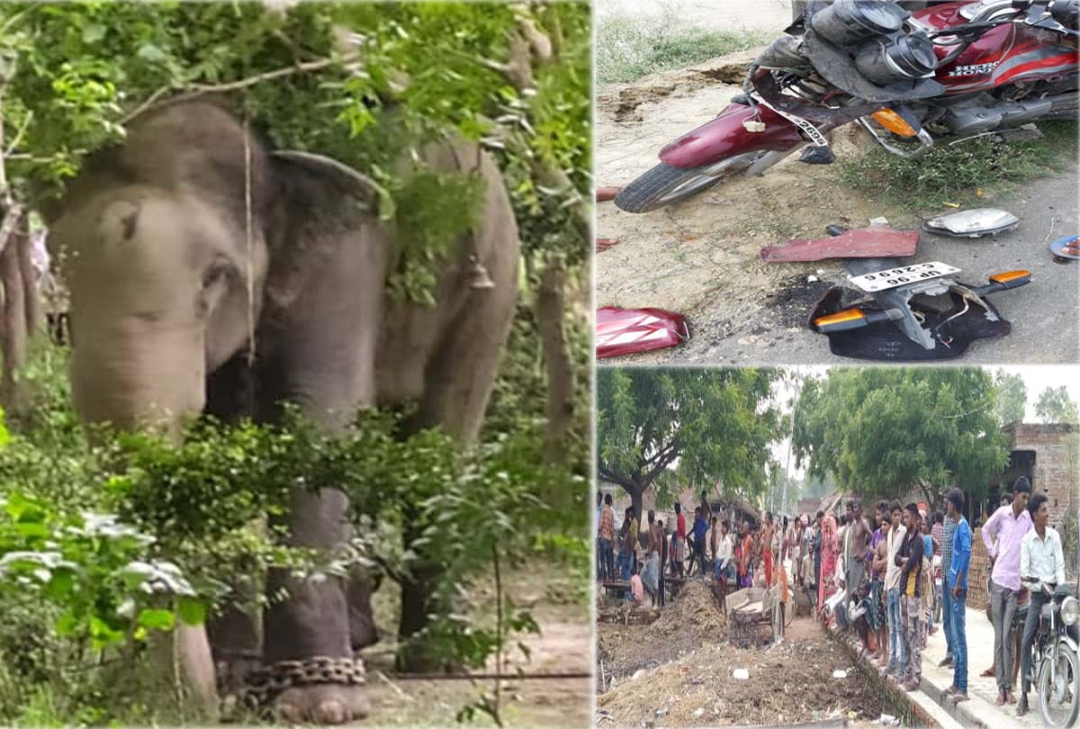 Uncontrollable elephant of Dadua Dacoit, elephant attacked in fatehpur