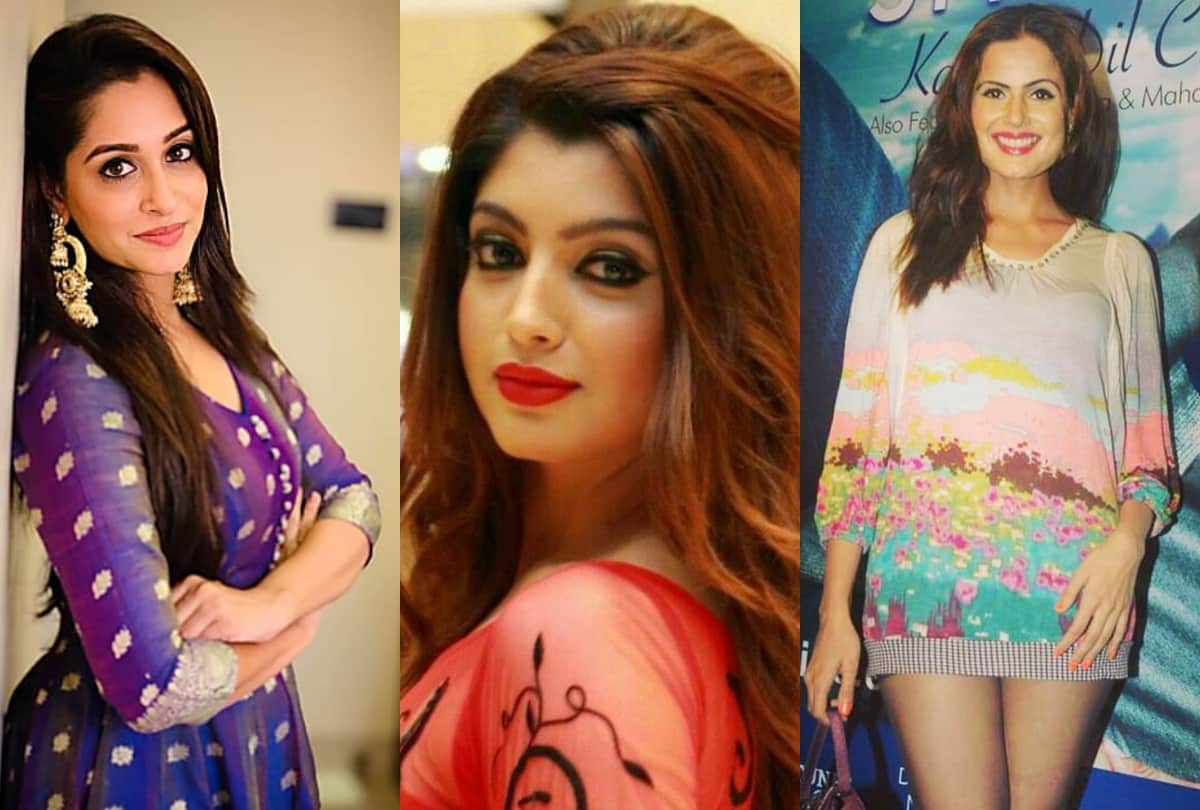Dipika Kakar Neha Saxena Akanksha Puri Hina Khan and Nandini Singh these tv actress was Air Hostess