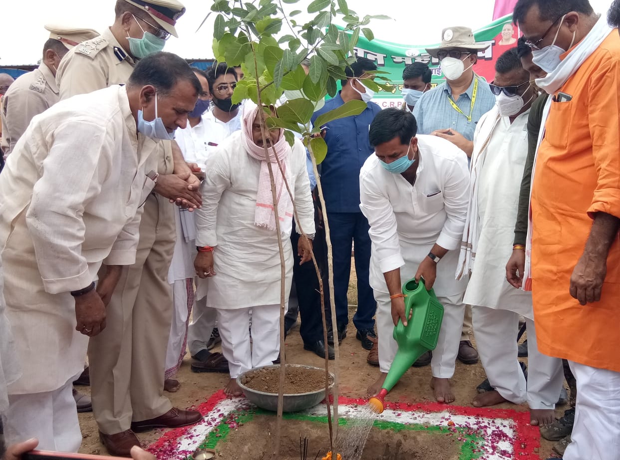 Plantation to protect nature