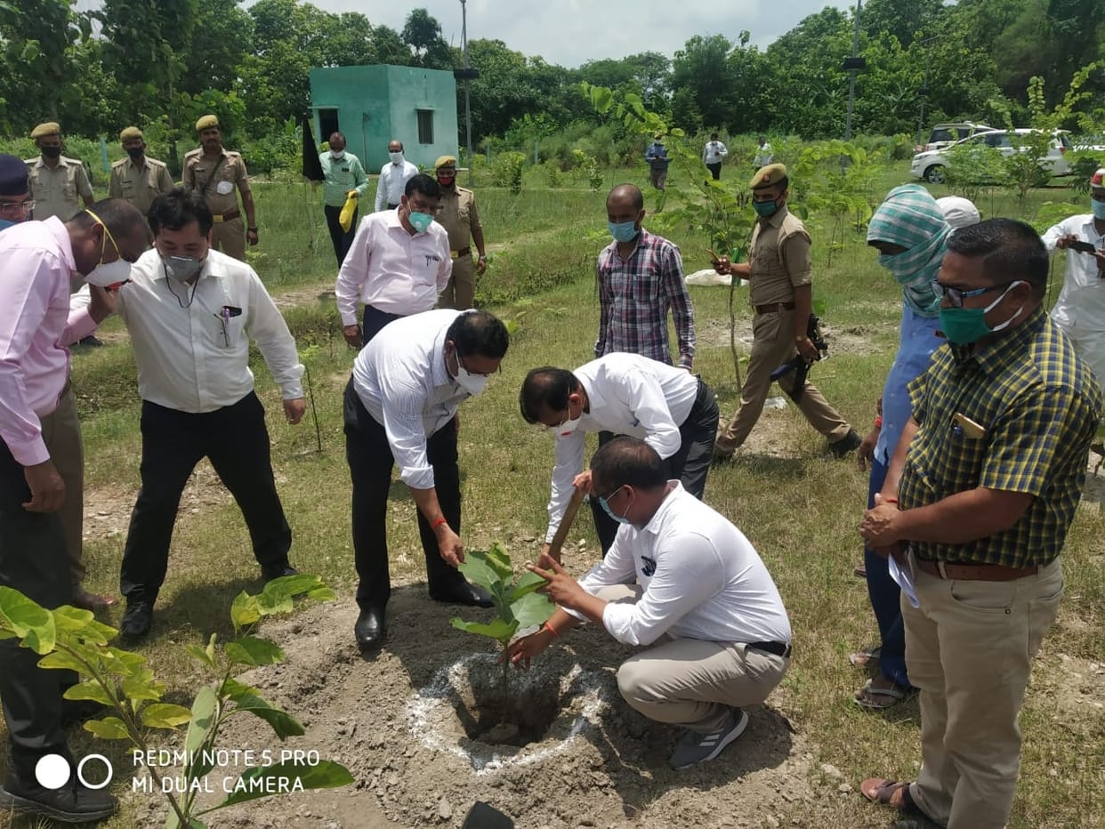 integrated plantation begins