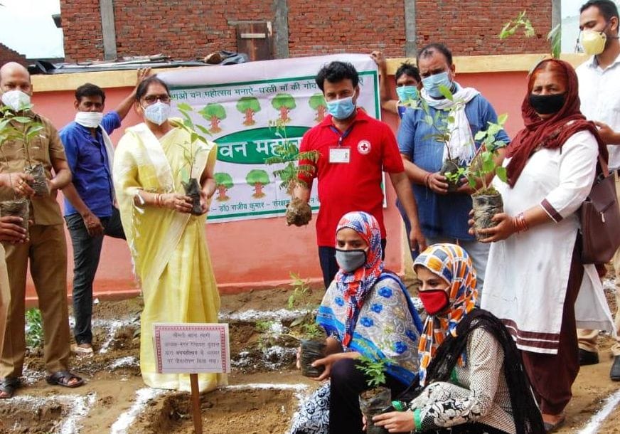 Herbal garden inaugurated by planting saplings at CHC