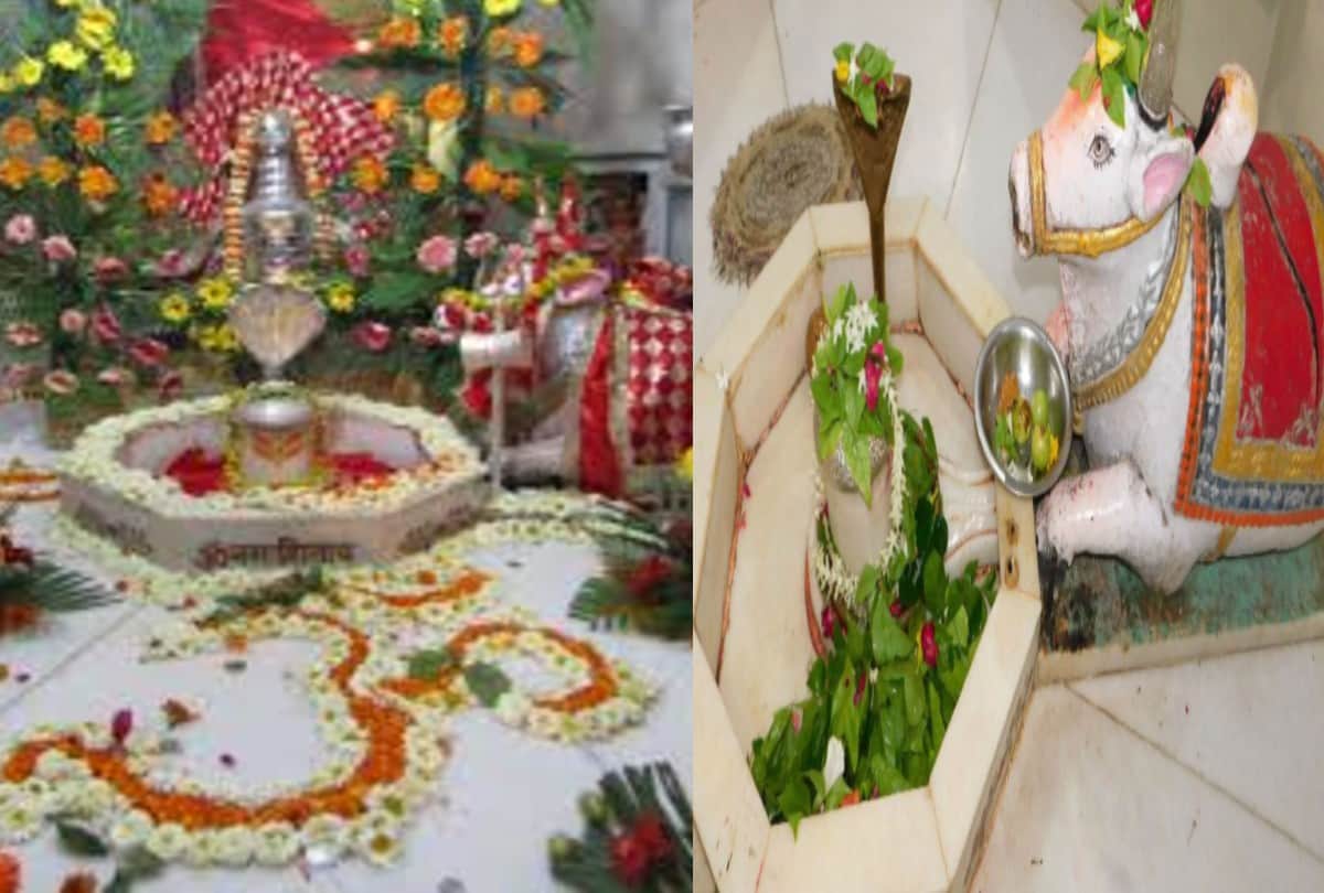 Shiv tandav to sushant singh rajput namo namo shankara and bahubali kaun hai wo shiv geet for mahashivratri