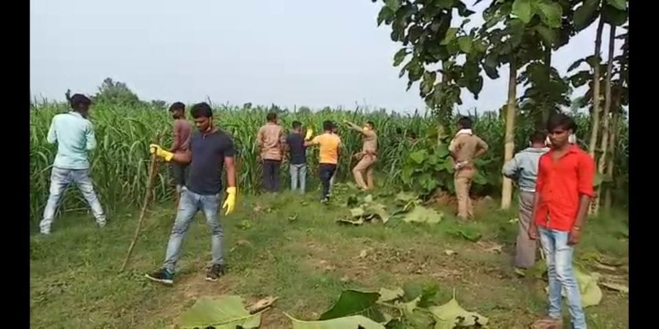 crime