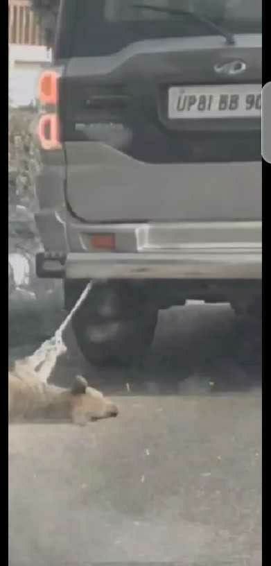 Cruelty : Dead dog pulled from Scorpio, video viral